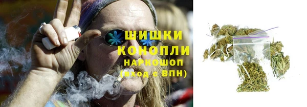 сатива Верея