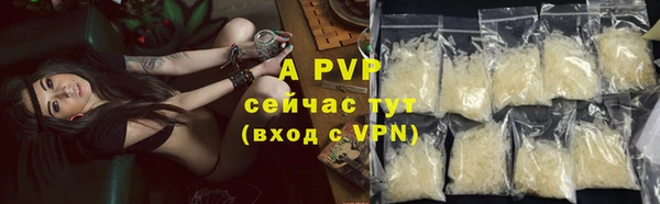 сатива Верея