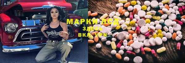 сатива Верея