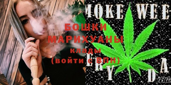 сатива Верея