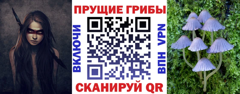Псилоцибиновые грибы GOLDEN TEACHER  Луза 
